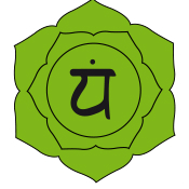 Vitality Pilates & Yoga